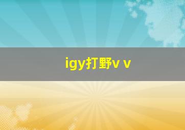 igy打野v v